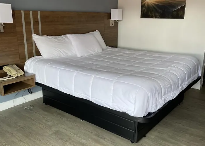 Beverly Hills Inn